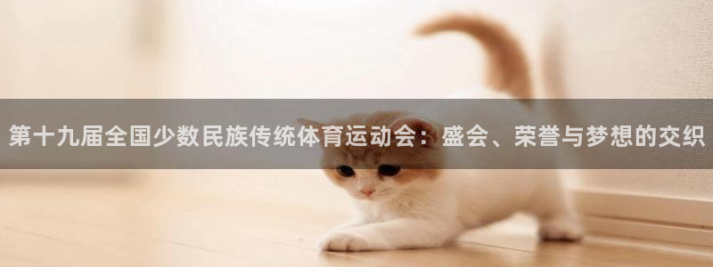 杏宇代理：第十九届全国少数民族传统体育运动会：盛会、荣誉与梦想的交织