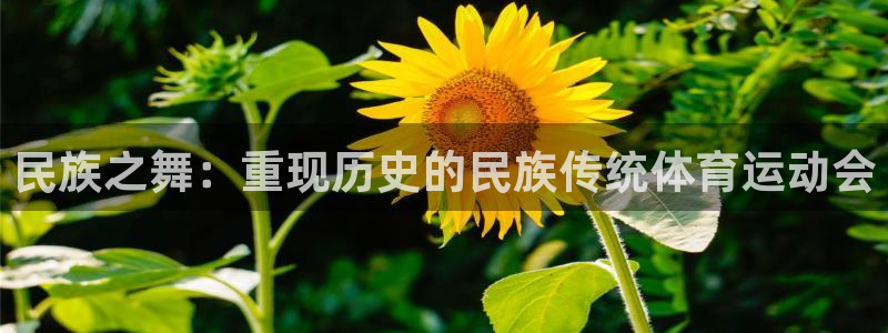 杏宇vk：民族之舞：重现历史的民族传统体育运动会