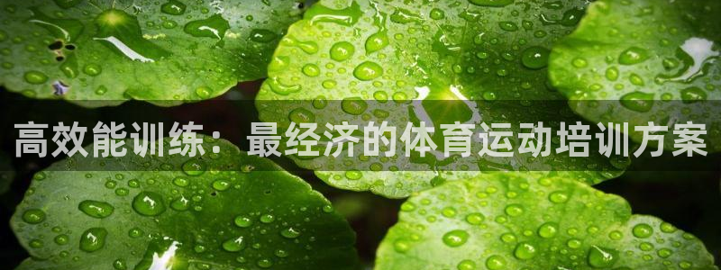 意昂官网：高效能训练：最经济的体育运动培训方案
