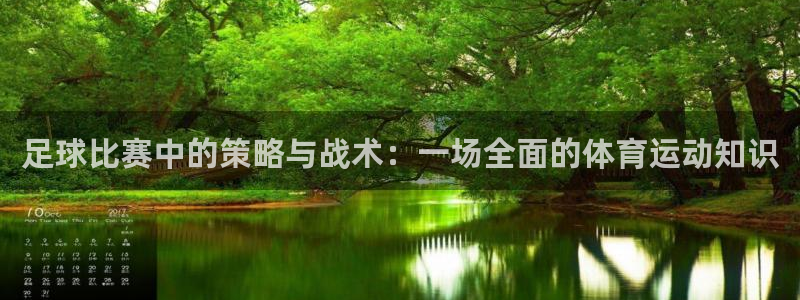 杏宇2平台登录：足球比赛中的策略与战术：一场全面的体育运动知识