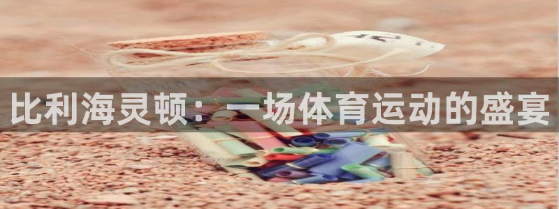 杏宇体育3：比利海灵顿：一场体育运动的盛宴