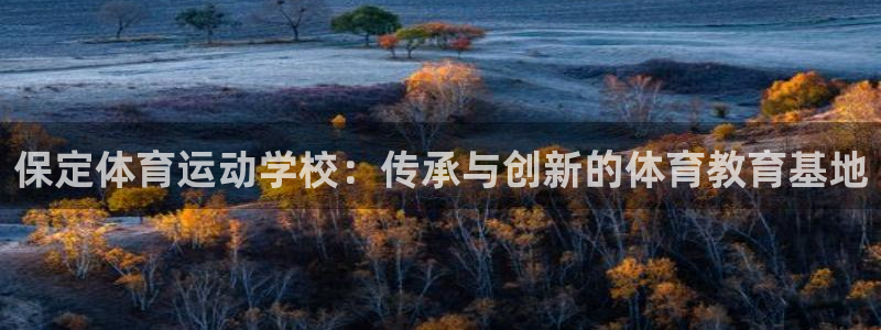 杏宇4代理：保定体育运动学校：传承与创新的体育教育基地