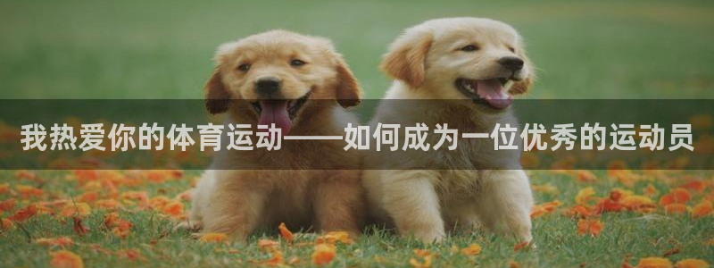 意昂平台注册入口：我热爱你的体育运动——如何成为一位优秀的运动员