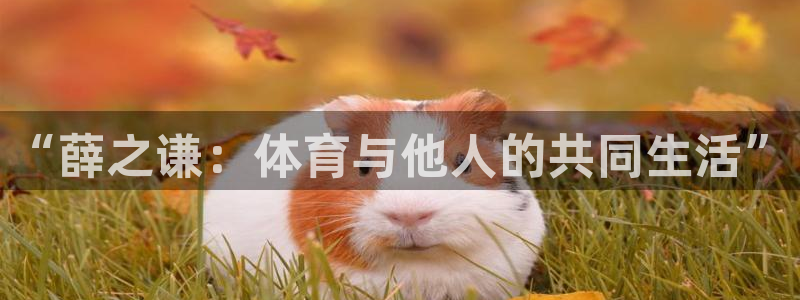 意昂：“薛之谦：体育与他人的共同生活”