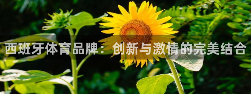 意昂官网：西班牙体育品牌：创新与激情的完美结合
