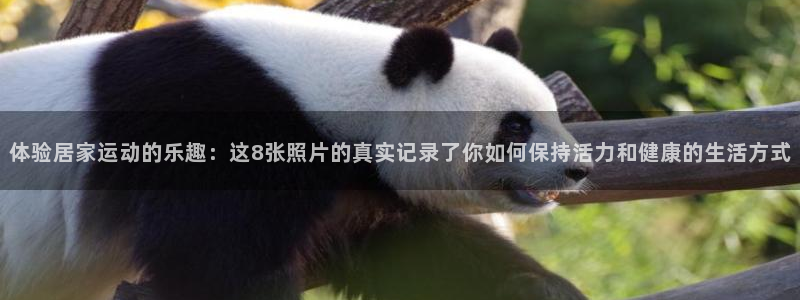 杏宇登录入口：体验居家运动的乐趣：这8张照片的真实记录了你如何保持活力和健康的生