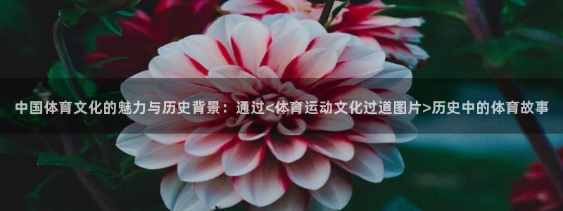 杏宇电子有限公司：中国体育文化的魅力与历史背景：通过<体育运动文化过道图片>历史