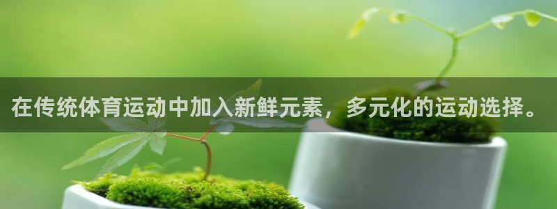 杏宇主管：在传统体育运动中加入新鲜元素，多元化的运动选择。