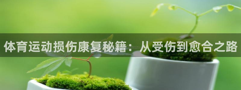 杏宇2登录：体育运动损伤康复秘籍：从受伤到愈合之路