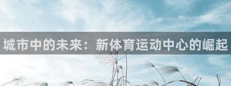 成都意昂电子有限公司：城市中的未来：新体育运动中心的崛起