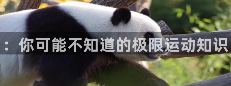 意昂的动画：：你可能不知道的极限运动知识