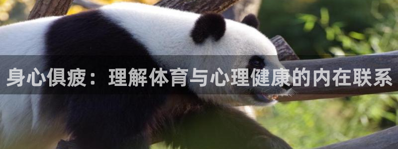 杏宇体育免费注册入口：身心俱疲：理解体育与心理健康的内在联系