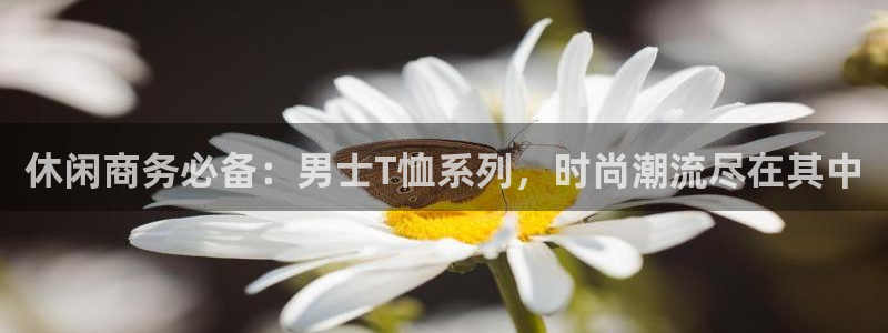 杏宇3登陆：休闲商务必备：男士T恤系列，时尚潮流尽在其中