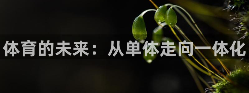 杏宇体育注册登录入口：体育的未来：从单体走向一体化