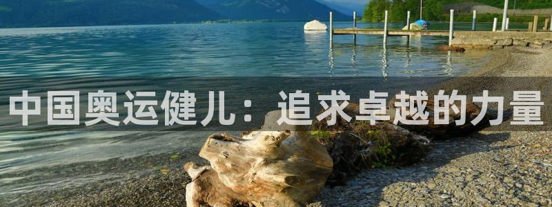 杏宇3注册：中国奥运健儿：追求卓越的力量