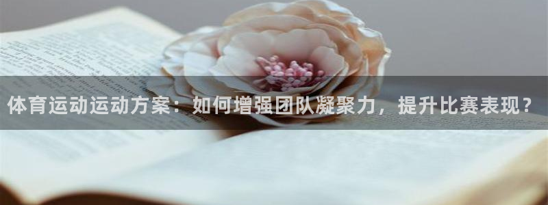 杏宇包怎么样：体育运动运动方案：如何增强团队凝聚力，提升比赛表现？