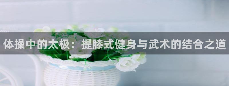 杏宇代理：体操中的太极：提膝式健身与武术的结合之道