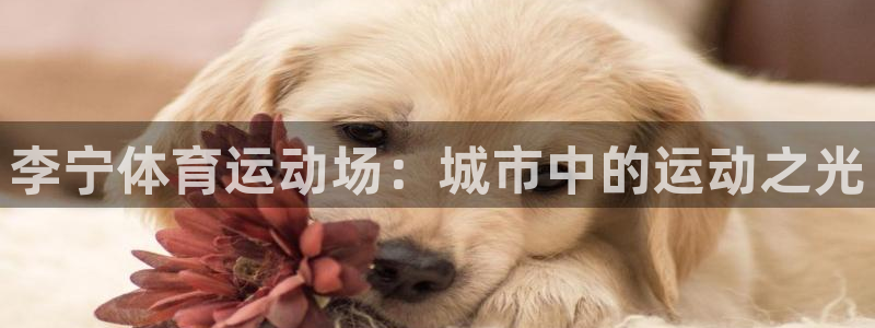 北京意昂科技有限公司：李宁体育运动场：城市中的运动之光