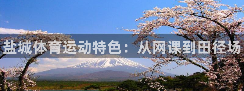 杏宇3官网登录：盐城体育运动特色：从网课到田径场