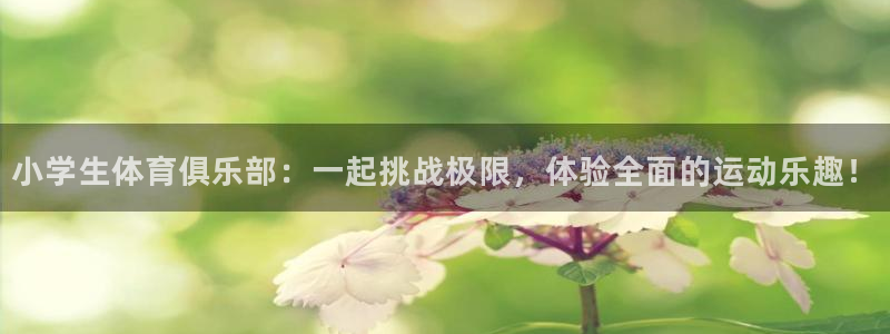 意昂平台招商：小学生体育俱乐部：一起挑战极限，体验全面的运动乐趣！