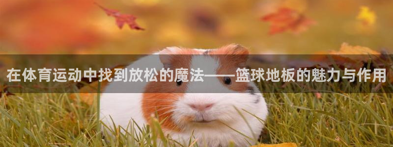 佛山市南海意昂机电仪器有限公司：在体育运动中找到放松的魔法——篮球地板的魅力与作