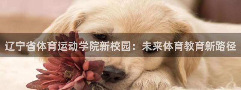 杏宇体育平台登录入口：辽宁省体育运动学院新校园：未来体育教育新路径